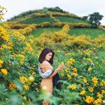 Tour du lịch Đà Nẵng – Pleiku – Kon Tum – Măng Đen 3N2Đ | Tây nguyên mùa hoa dại