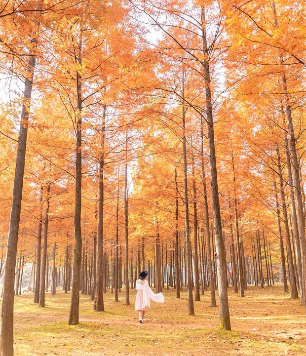 Thủ tục xin visa H&agrave;n Quốc