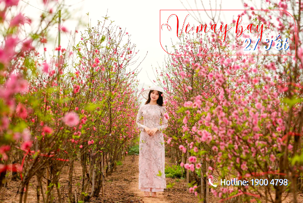 vé máy bay 27 Tết