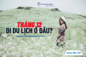 Tháng 12 Nên Đi Du Lịch Ở Đâu? Top 8 Điểm Đến Đẹp Nhất!
