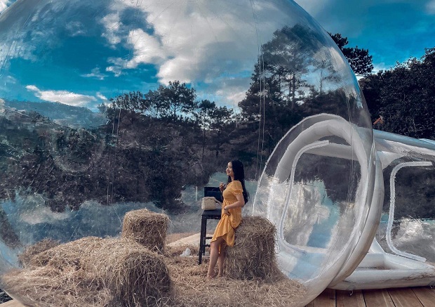 Tour Tết Dương lịch Đà Lạt có gì hấp dẫn - Vườn Hồng Nhà Tom