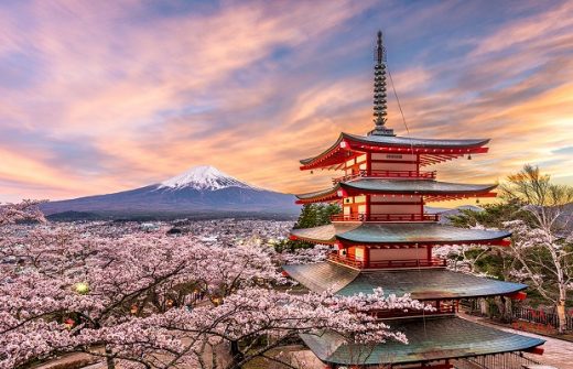 Núi Phú Sĩ mùa hoa anh đào