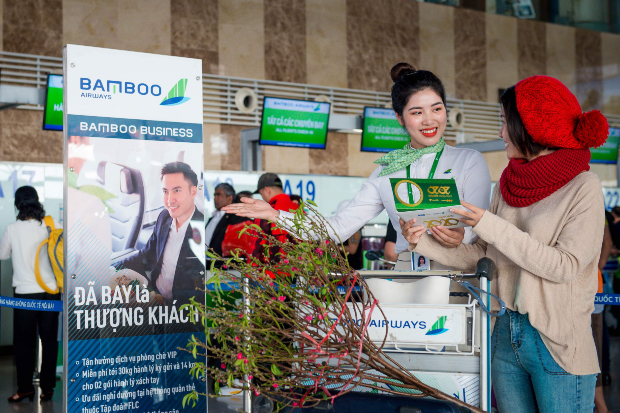 Bamboo airways vận chuyển mai đ&agrave;o Tết