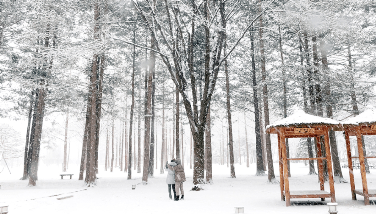 m&ugrave;a đ&ocirc;ng ở Nami