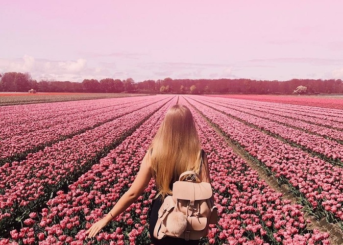 Dịch vụ chứng minh tài chính xin visa Hà Lan