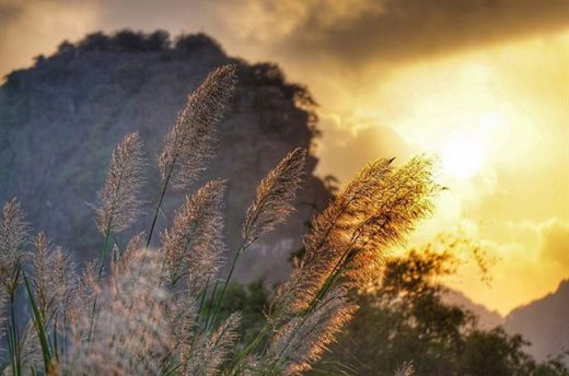 du lich ninh binh mua nao dep