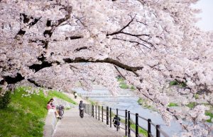 Tour du lịch Nhật Bản Osaka – Kyoto – Kobe 4N3Đ Tết giá rẻ