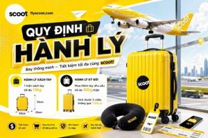 Quy định hành lý Scoot sắp xếp vali cho chuyến bay thảnh thơi