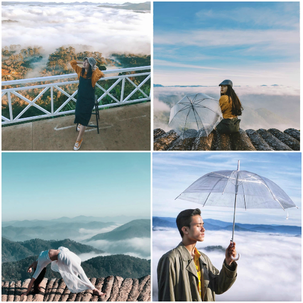 cầu gỗ săn mây Đà Lạt