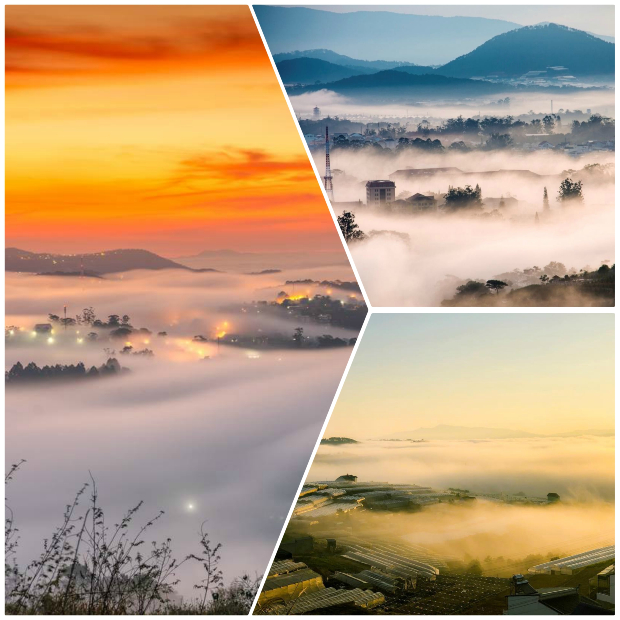 săn mây ở Trại Mát