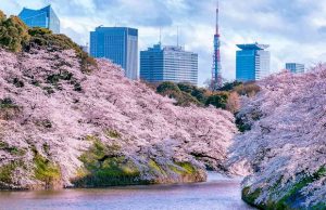 Tour du lịch Nhật Bản 5 ngày 4 đêm: Tokyo – Yamanashi – Núi Phú Sĩ