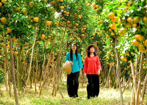 Những điểm du lịch Tết Dương lịch gần Sài Gòn - Miệt vườn Tiền Giang