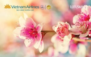 Vietnam Airlines “bán” vé máy bay cho Mai, Đào dịp Tết Nguyên Đán 2020