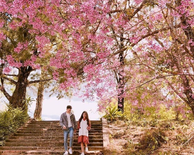 tết đi du lịch ở đâu miền nam