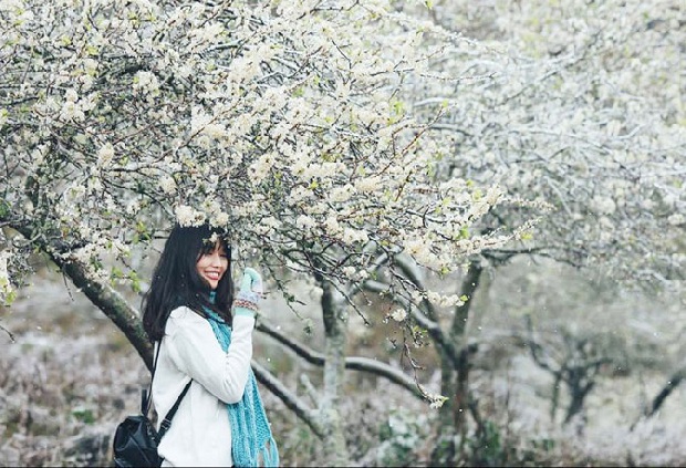 tết nên đi du lịch ở đâu miền bắc