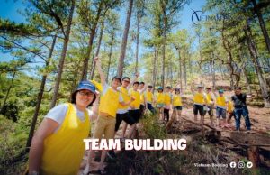 Tour team building Đà Lạt 3 ngày 2 đêm từ TPHCM giá rẻ