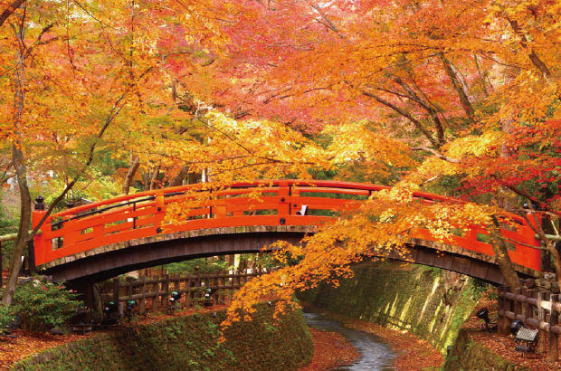 Cây cầu Đền Kitano Tenmangu mùa thu Kyoto