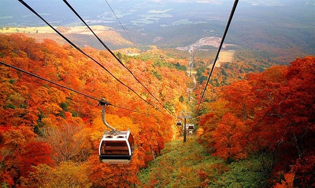 Ngắm cảnh Takao mùa thu đến