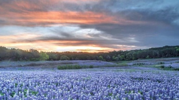 Du lịch Phoenix bang Arizona tháng 3