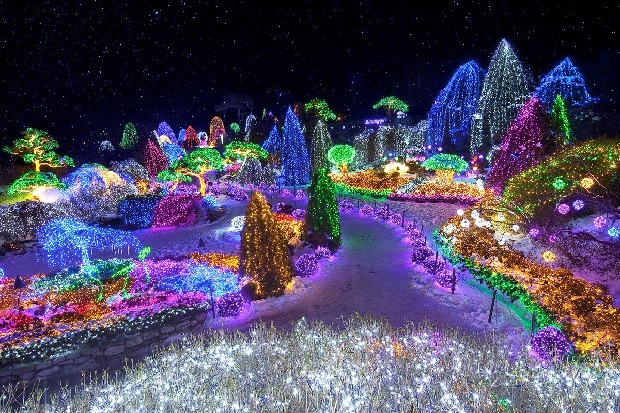 Lễ hội ánh sáng lung linh Pocheon Herb Light Lễ hội ánh sáng Pocheon Herb Light