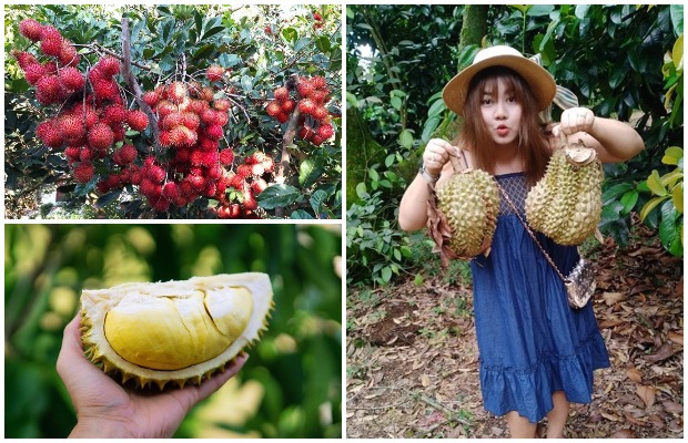 Địa điểm du lịch Bến Tre