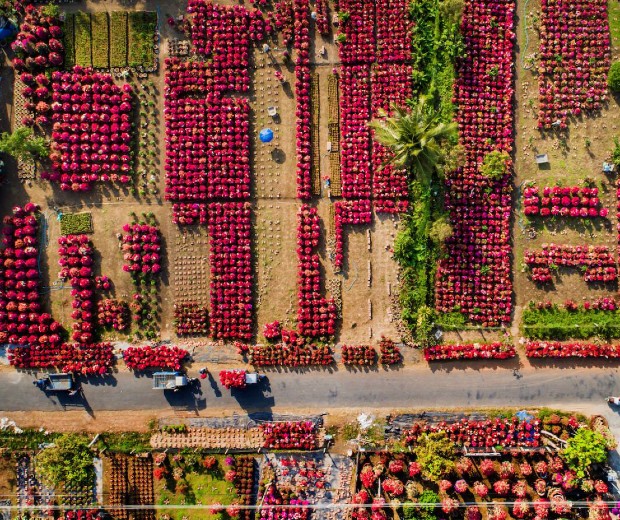 Địa điểm du lịch Bến Tre