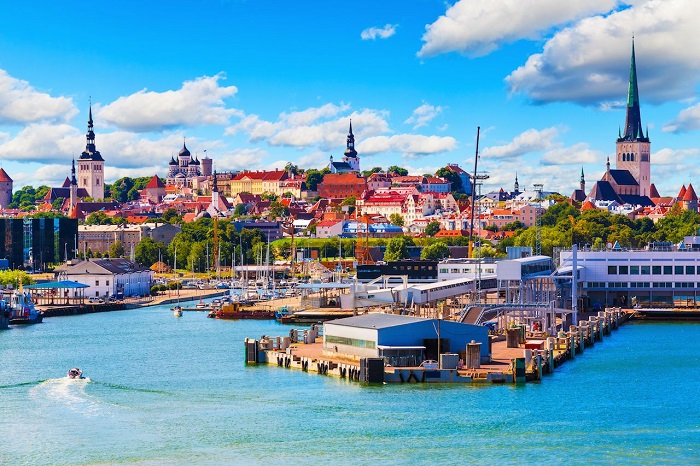 Dịch vụ điền tờ khai xin visa Estonia