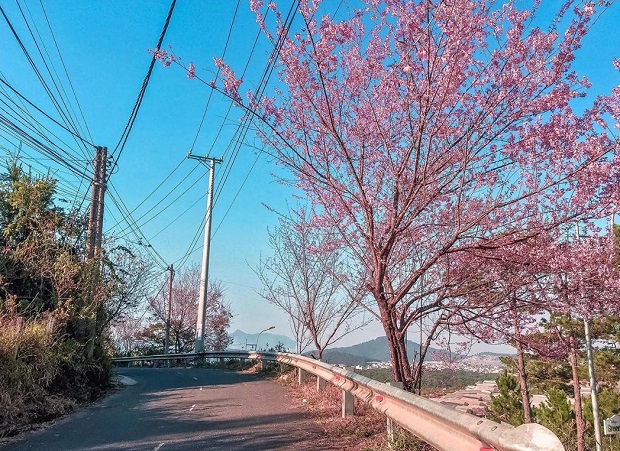 du lich da lat thang 2