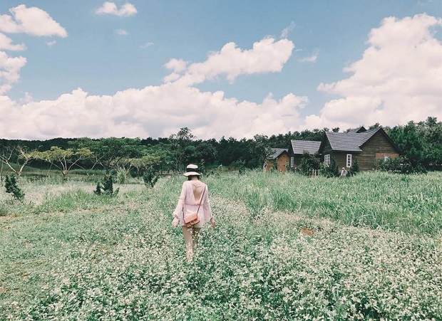 du lich da lat thang 2