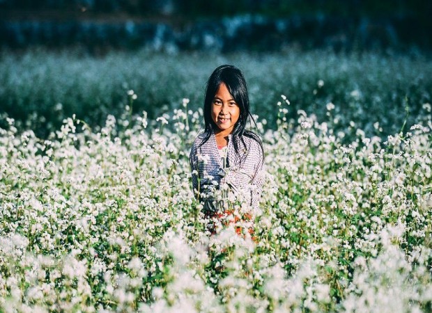 du-lich-ha-giang-co-gi-dep