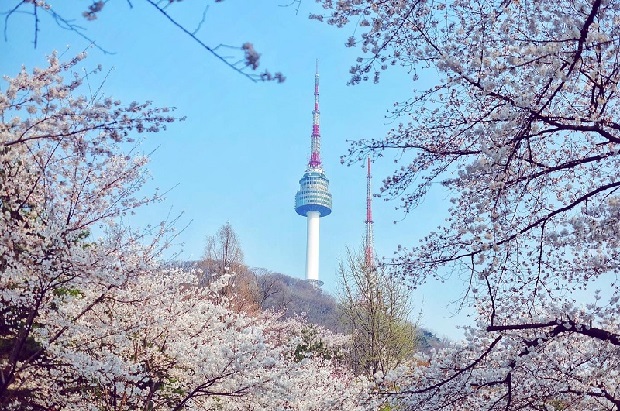 Du lịch Hàn Quốc mùa hoa anh đào - Tháp Namsan Seoul