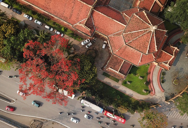 hoa gao no vao mua nao