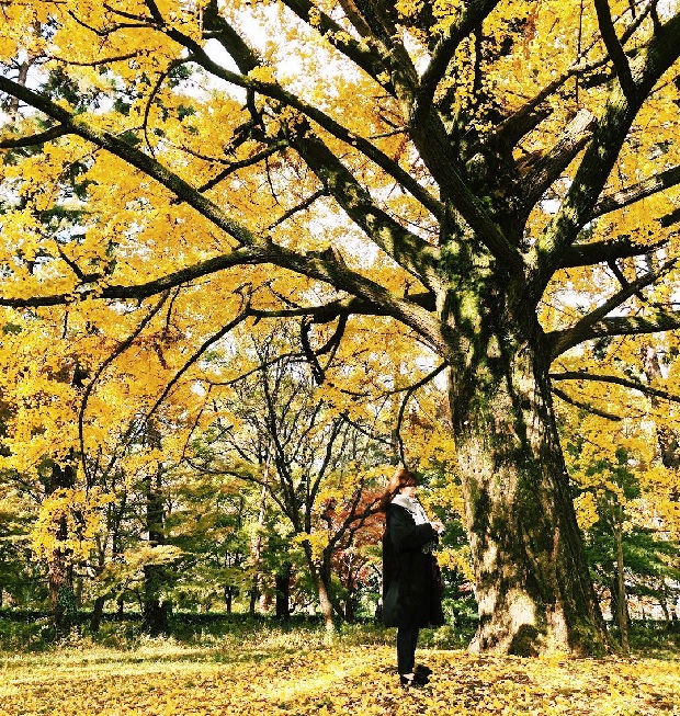 Hoa viên Hoàng cung Kyoto mùa thu