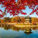 Kinh nghiệm chọn tour du lịch Hàn Quốc chi tiết