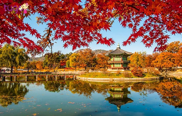 kinh nghiem chon tour du lich han quoc