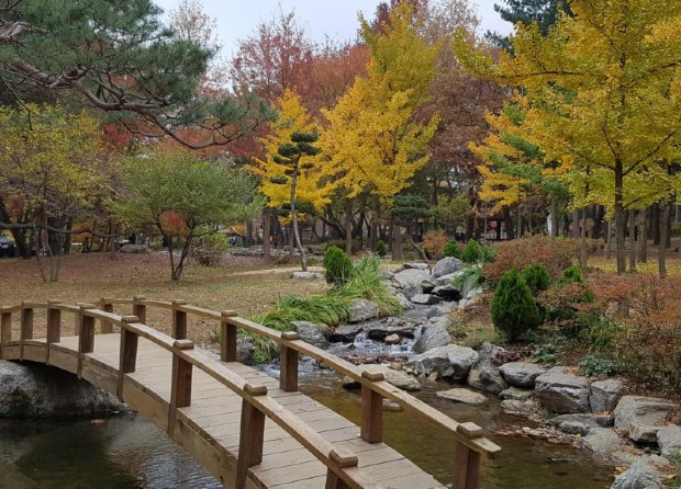 Đảo Nami Hàn Quốc Mùa thu hàn quốc tháng mấy