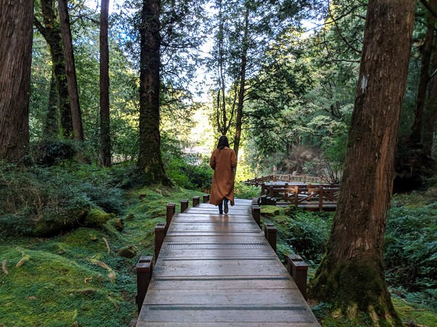 review di dai loan tu tuc