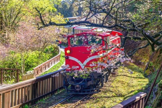 review di dai loan tu tuc