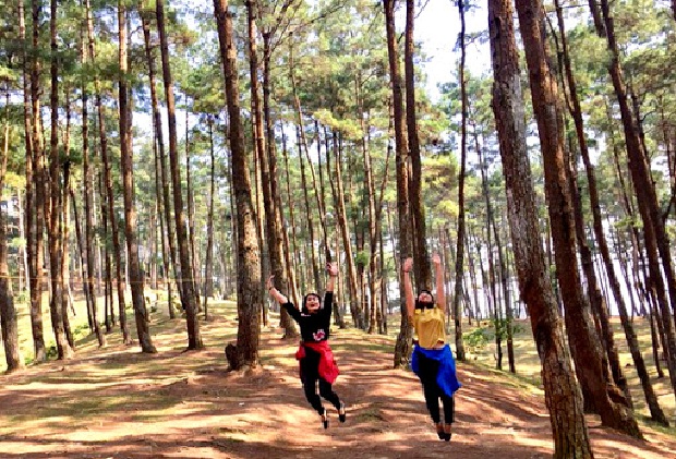 bản đồ phượt Rừng thông Yên Minh Hà Giang