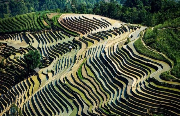 ruong-bac-thang-hoang-su-phi