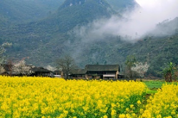 Thung Lũng Sủng La H&agrave; Giang