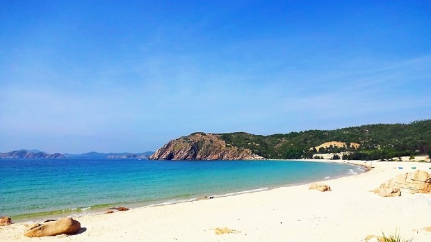 30/4 đi biển nào