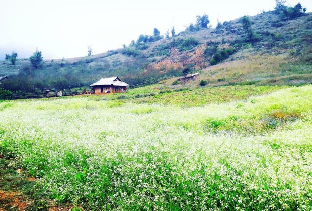 dia-diem-du-lich-o-moc-chau