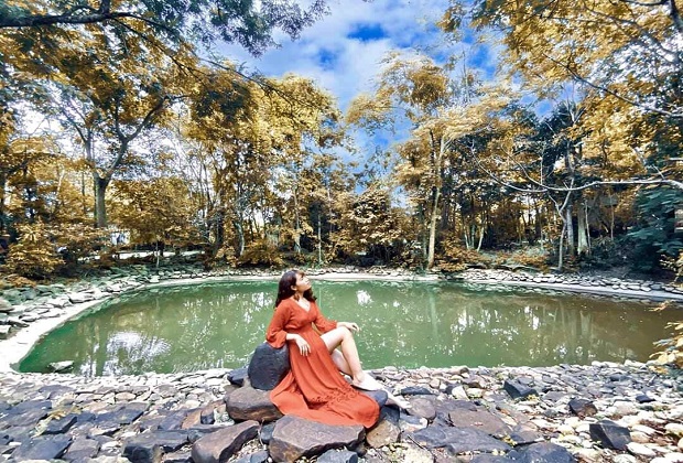 các địa điểm du lịch ở Đắk Lắk - Vườn thực vật Troh Bư 