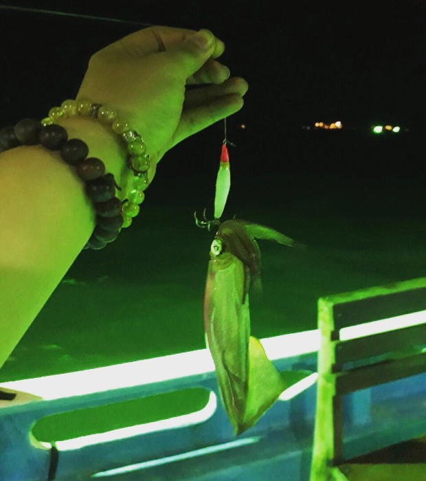 lich-trinh-di-nam-du