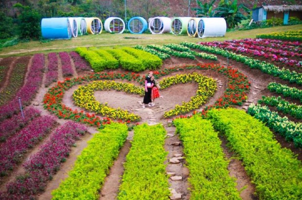 Địa điểm du lịch Mộc Châu