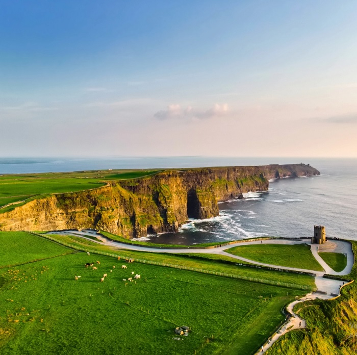 dịch vụ dịch thuật hồ sơ xin visa ireland