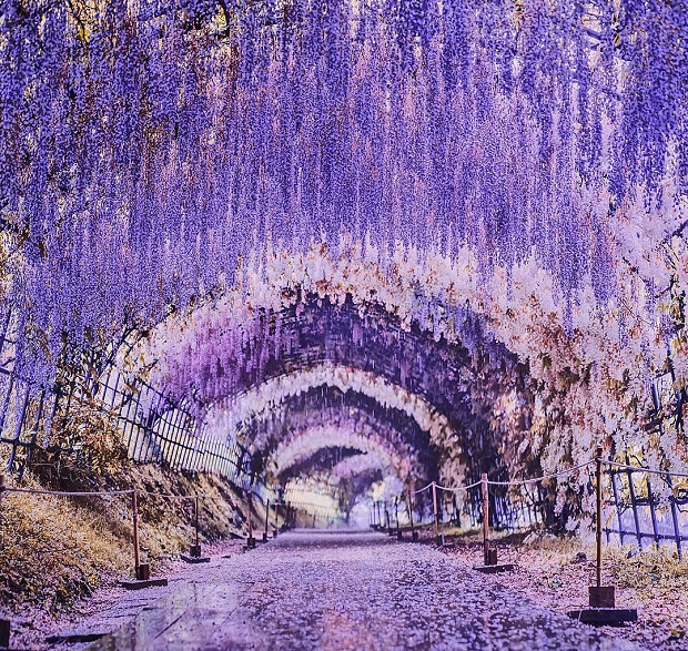 du lich nhat ban thang 4