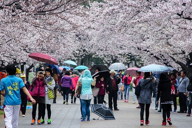 du lich nhat ban thang 4