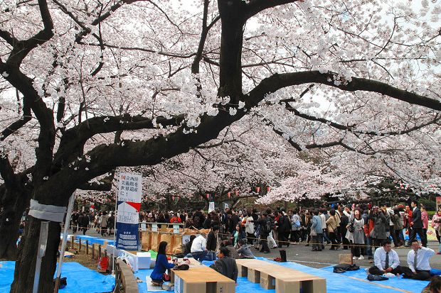 du lich nhat ban thang 4